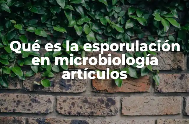 Qué es la Esporulación en Microbiología Artículos