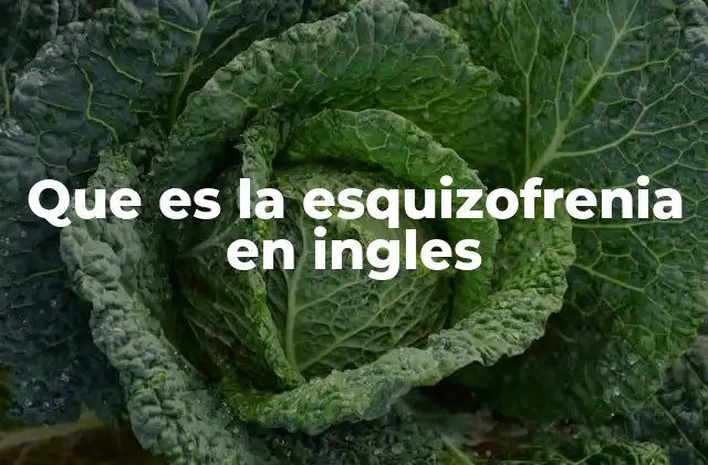 Que es la Esquizofrenia en Ingles