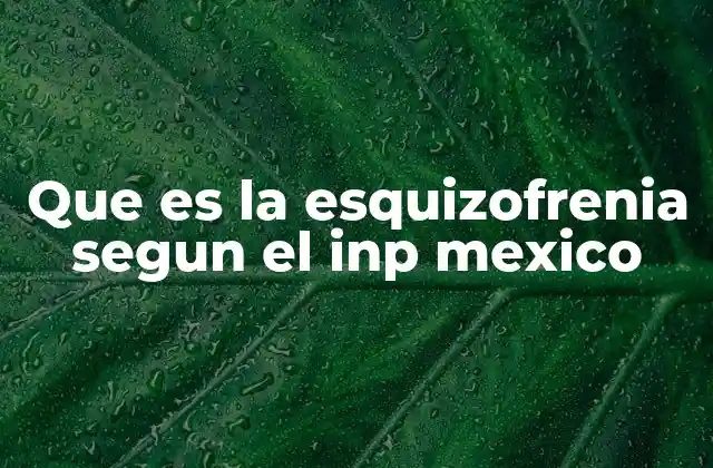 Cómo se clasifica la esquizofrenia según el INP de México