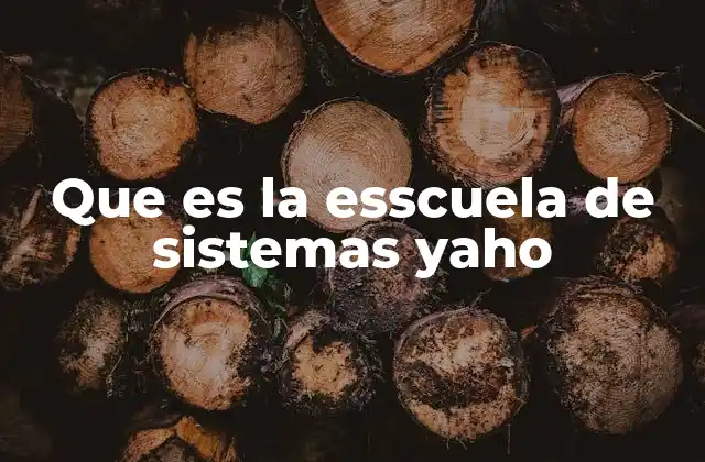 Que es la Esscuela de Sistemas Yaho