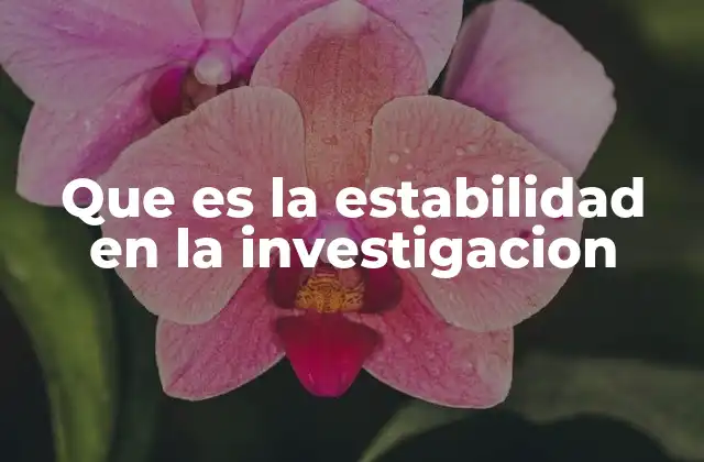 Que es la Estabilidad en la Investigacion