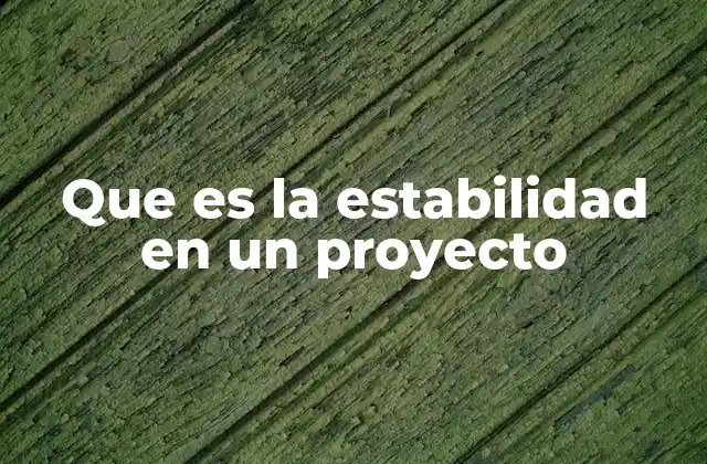 Que es la Estabilidad en un Proyecto