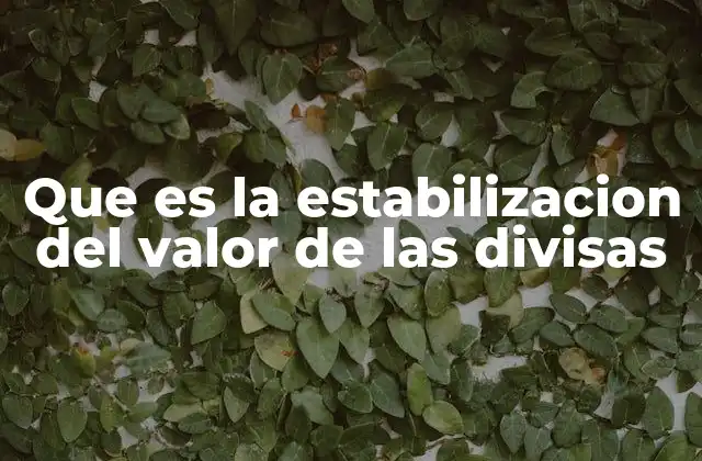Que es la Estabilizacion Del Valor de las Divisas