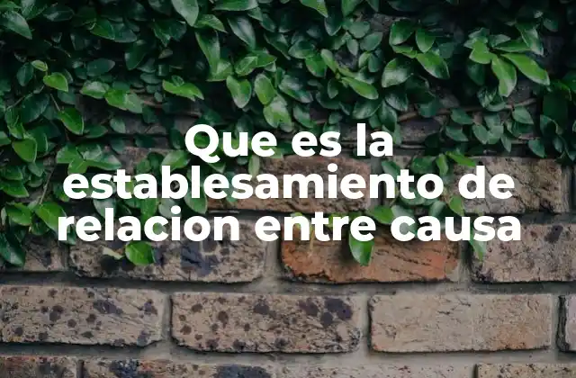 Que es la Establesamiento de Relacion entre Causa