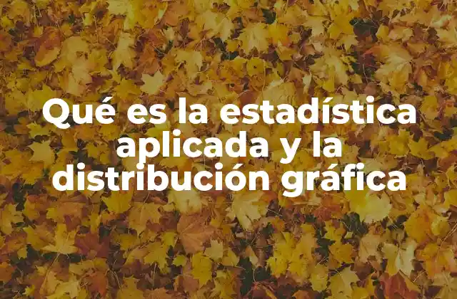 Qué es la Estadística Aplicada y la Distribución Gráfica