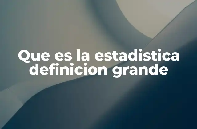 Que es la Estadistica Definicion Grande