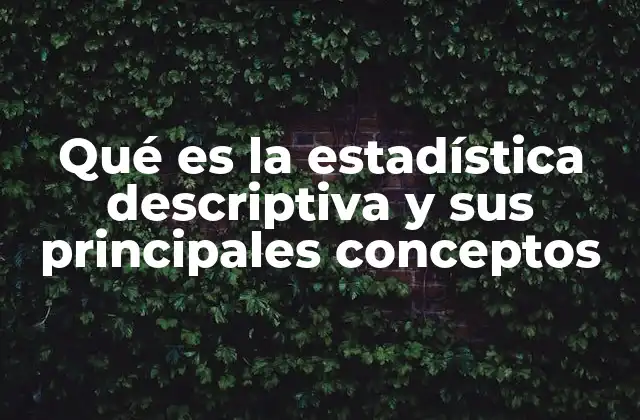 Qué es la Estadística Descriptiva y Sus Principales Conceptos