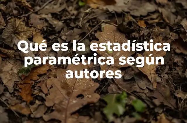 Qué es la Estadística Paramétrica según Autores