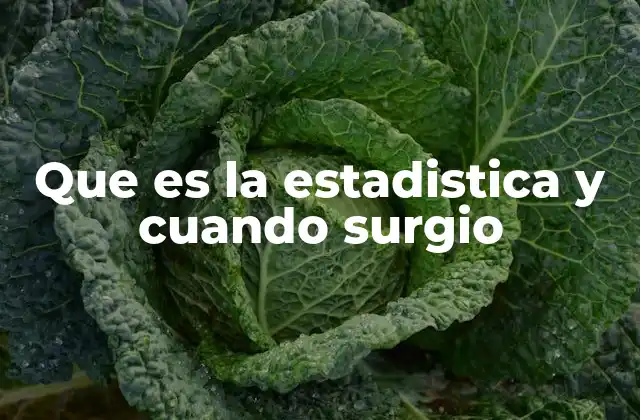 Que es la Estadistica y Cuando Surgio