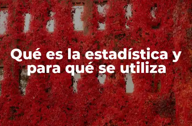 Qué es la Estadística y para Qué Se Utiliza