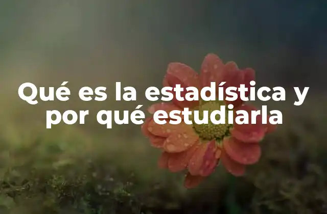 Qué es la Estadística y por Qué Estudiarla