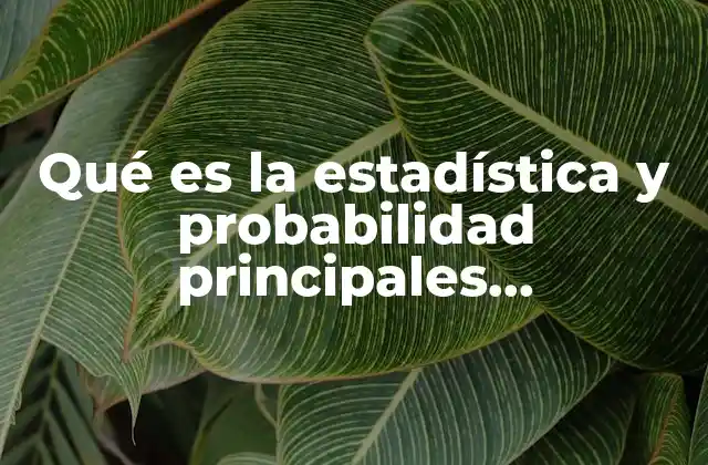 Qué es la Estadística y Probabilidad Principales Características