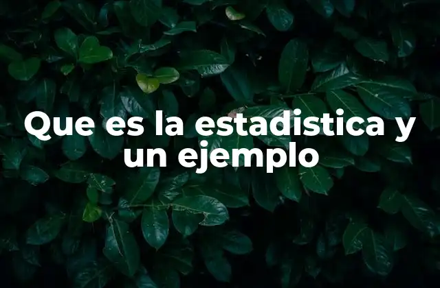 Que es la Estadistica y un Ejemplo