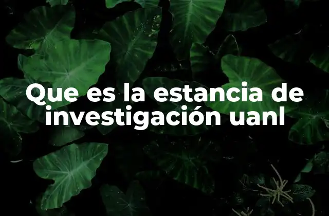Que es la Estancia de Investigación Uanl