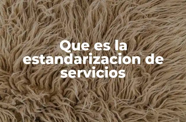 Que es la Estandarizacion de Servicios
