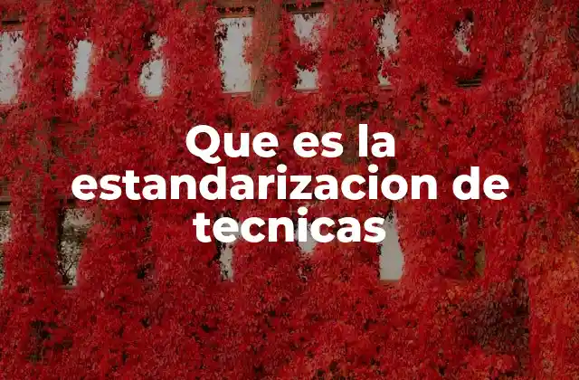 Que es la Estandarizacion de Tecnicas