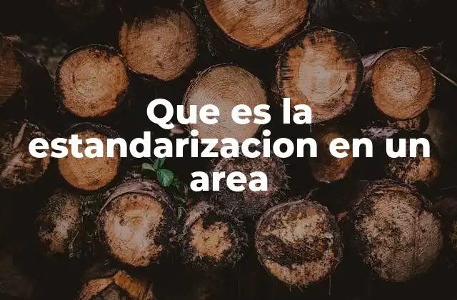 Que es la Estandarizacion en un Area