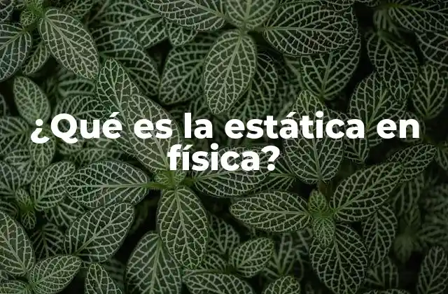 ¿qué es la Estática en Física?