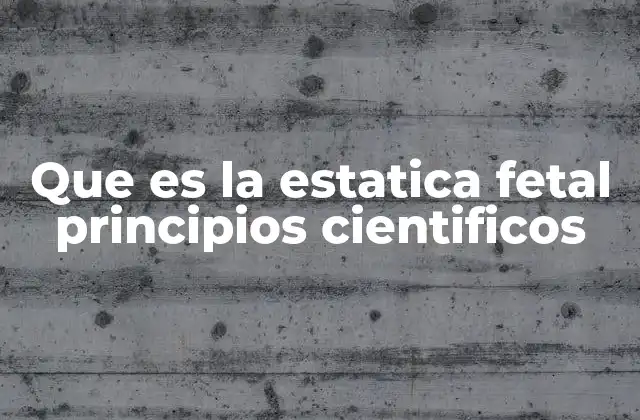 Que es la Estatica Fetal Principios Cientificos