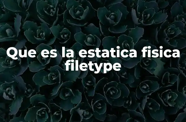 Que es la Estatica Fisica Filetype