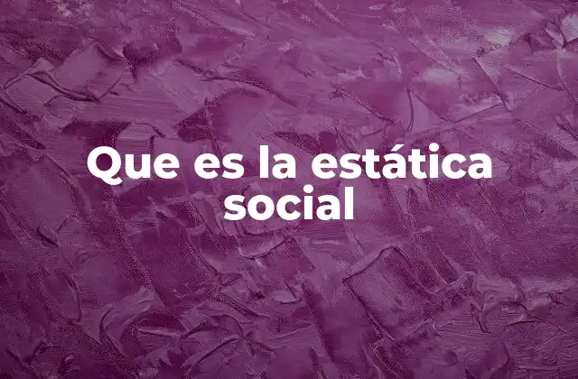 Que es la Estática Social