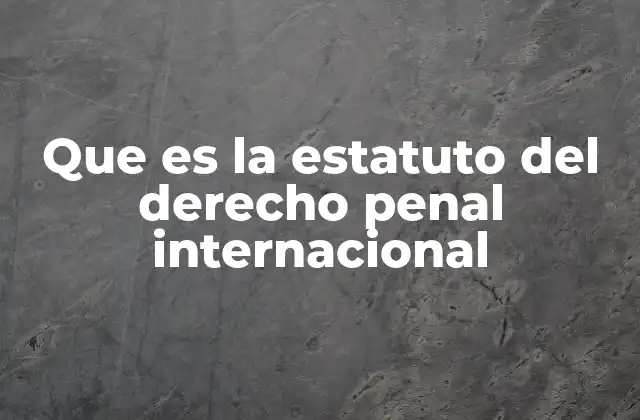 Que es la Estatuto Del Derecho Penal Internacional