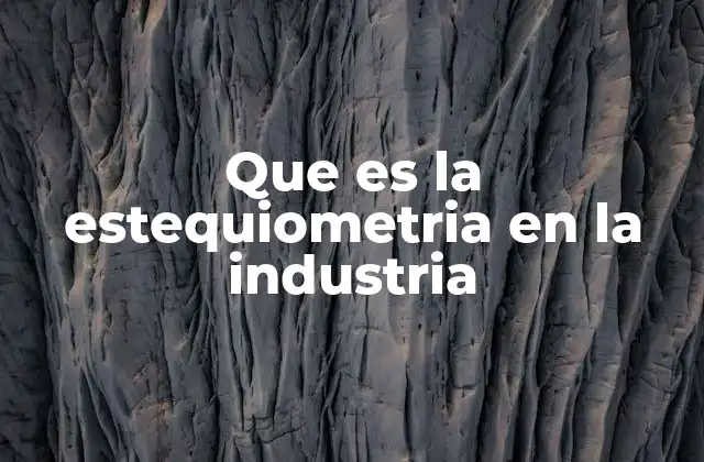 Que es la Estequiometria en la Industria
