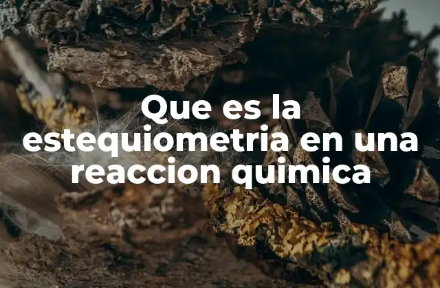 La importancia de la relación entre reactivos y productos