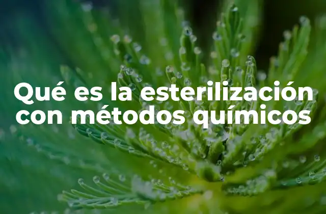 Qué es la Esterilización con Métodos Químicos 2 Métodos alternativos para la eliminación de microorganismos