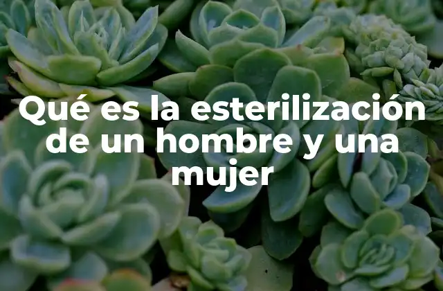 Qué es la Esterilización de un Hombre y una Mujer