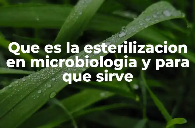 La importancia de la esterilización en entornos microbiológicos