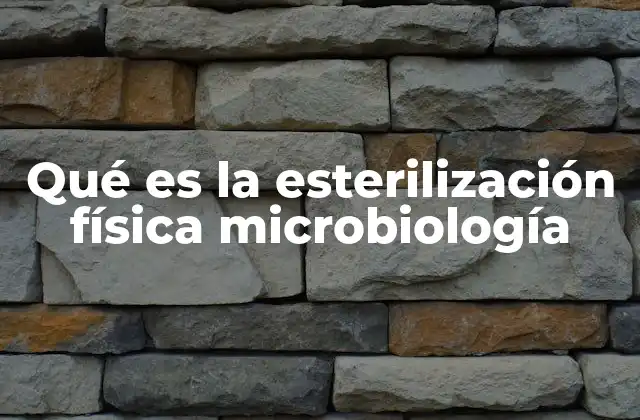 Qué es la Esterilización Física Microbiología