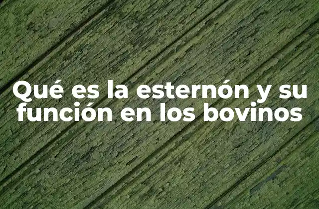 Qué es la Esternón y Su Función en los Bovinos
