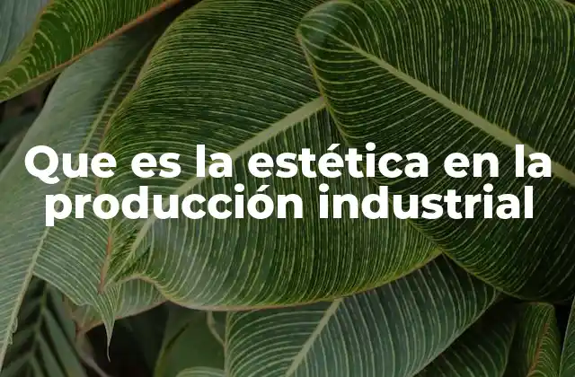 Que es la Estética en la Producción Industrial