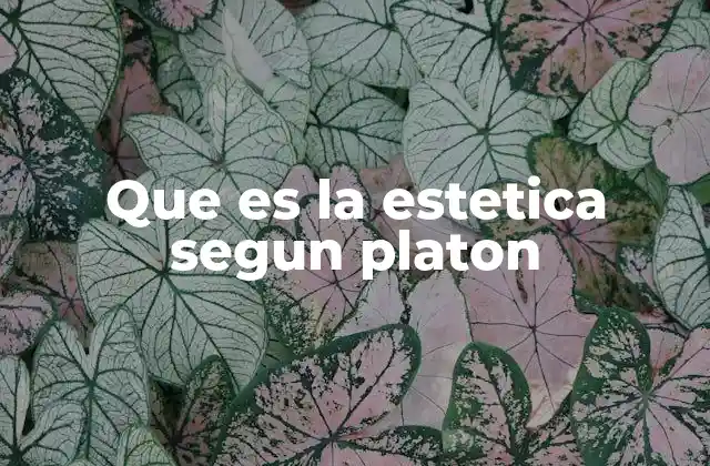 Que es la Estetica Segun Platon