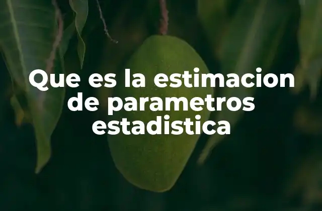 Que es la Estimacion de Parametros Estadistica