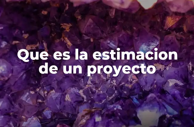 Que es la Estimacion de un Proyecto