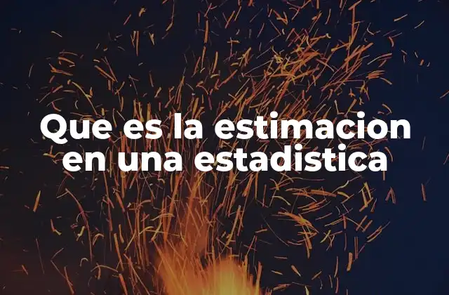 Que es la Estimacion en una Estadistica
