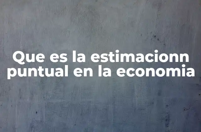 Que es la Estimacionn Puntual en la Economia