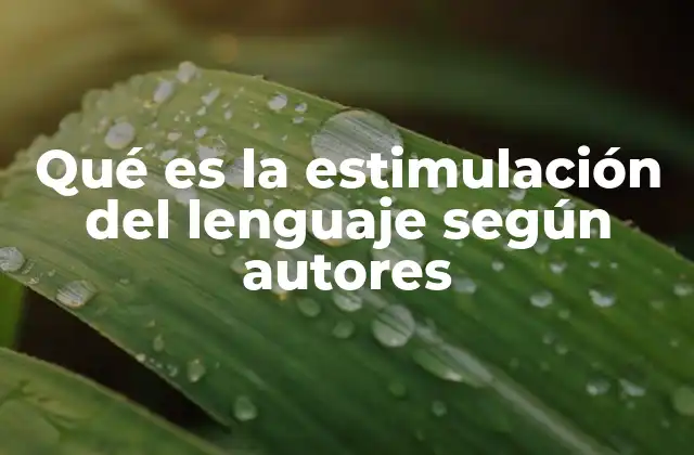 Qué es la Estimulación Del Lenguaje según Autores