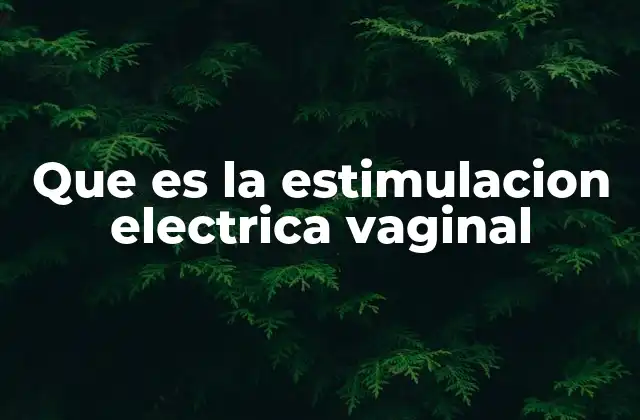 Que es la Estimulacion Electrica Vaginal