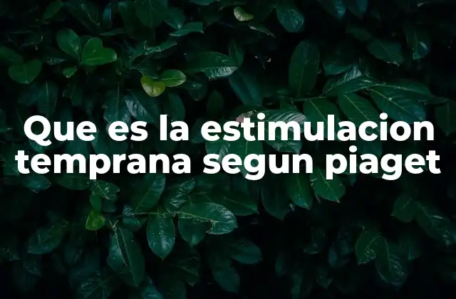 Que es la Estimulacion Temprana Segun Piaget