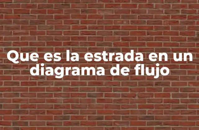 Que es la Estrada en un Diagrama de Flujo