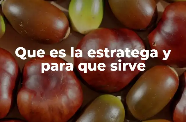 Que es la Estratega y para que Sirve