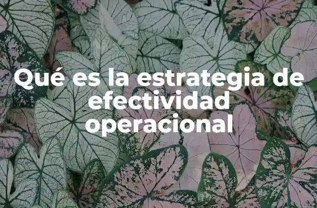 Qué es la Estrategia de Efectividad Operacional
