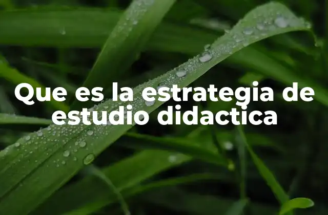 Que es la Estrategia de Estudio Didactica