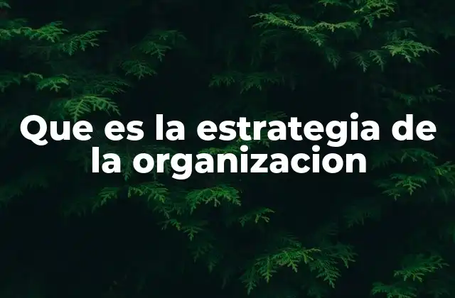 Que es la Estrategia de la Organizacion
