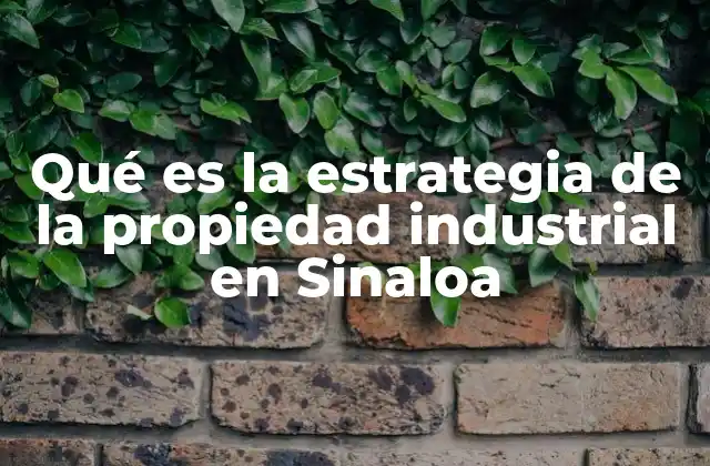 Qué es la Estrategia de la Propiedad Industrial en Sinaloa