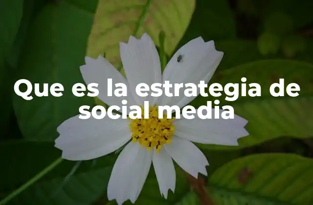 Que es la Estrategia de Social Media