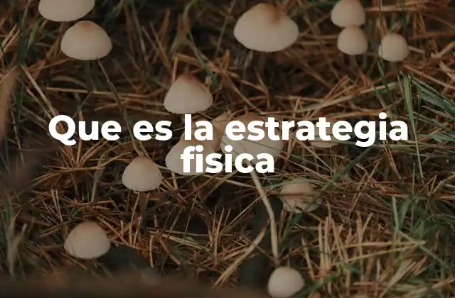 Que es la Estrategia Fisica